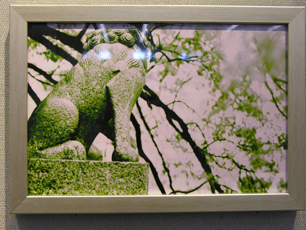 The moment - Photography Exhibition of Pou Ka Ieng 布嘉盈個人攝影展 - 瞬間
