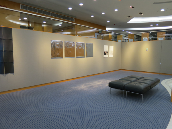 Our beautiful days - Joint Exhibition of Elva Lai & Szelit Cheung 我們的美好生活 - 賴明珠張施烈聯展