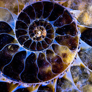 Science Collection 理科館藏 Science Collection 理科館藏