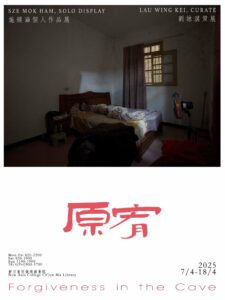 Forgiveness in the Cave poster